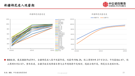 【棉花纺谈】供应端阶段性缩量 疆棉基(🏔)差坚挺